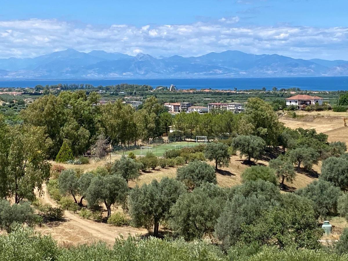 Le Colline Del Gelso-Masseria Mazzei Rossano Eksteriør billede